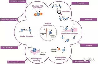 固體核磁共振技術解析功能性納米材料的表面與界面化學